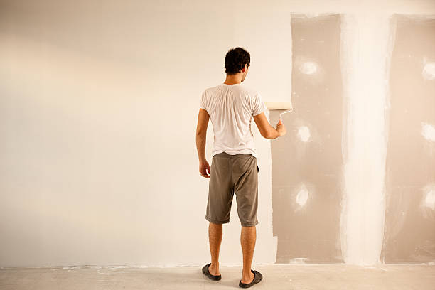  , USA Dry wall and painting Pros